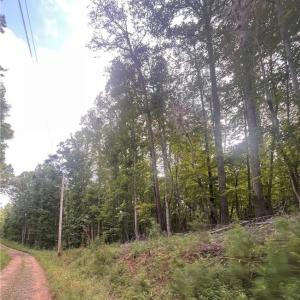 Photo #17 of 1170 Timber Ridge, Westfield, NC 19.0 acres