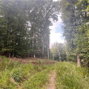 Photo #12 of 1170 Timber Ridge, Westfield, NC 19.0 acres
