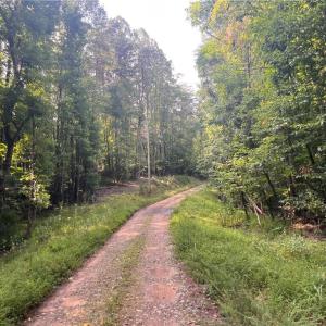 Photo #1 of 1170 Timber Ridge, Westfield, NC 19.0 acres