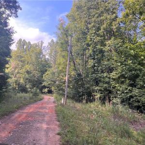 Photo #5 of 1170 Timber Ridge, Westfield, NC 19.0 acres
