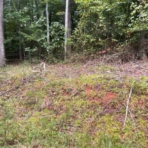 Photo #9 of 1170 Timber Ridge, Westfield, NC 19.0 acres