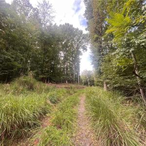 Photo #14 of 1170 Timber Ridge, Westfield, NC 19.0 acres