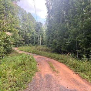 Photo #18 of 1170 Timber Ridge, Westfield, NC 19.0 acres