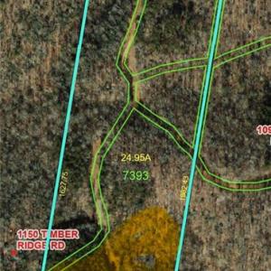 Photo #19 of 1170 Timber Ridge, Westfield, NC 19.0 acres