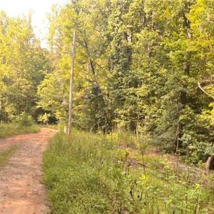 Photo #4 of 1170 Timber Ridge, Westfield, NC 19.0 acres
