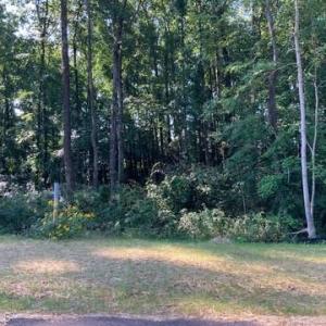 Photo #1 of 7509 Whisper Hollow, Lewisville, NC 1.3 acres