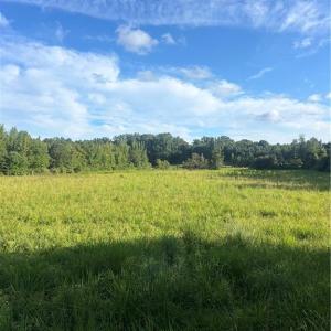 Photo #2 of 766 Chaney, Asheboro, NC 107.9 acres