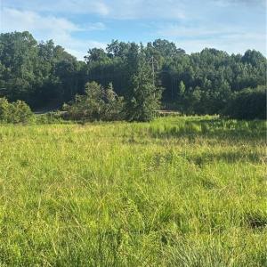Photo #6 of 766 Chaney, Asheboro, NC 107.9 acres