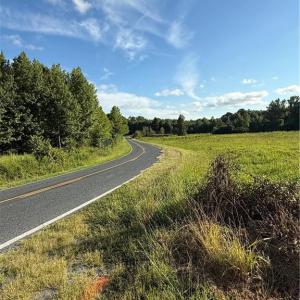Photo #7 of 766 Chaney, Asheboro, NC 107.9 acres