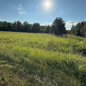 Photo #1 of 766 Chaney, Asheboro, NC 107.9 acres