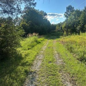 Photo #5 of 766 Chaney, Asheboro, NC 107.9 acres