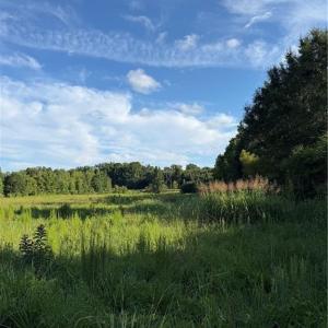Photo #4 of 766 Chaney, Asheboro, NC 107.9 acres
