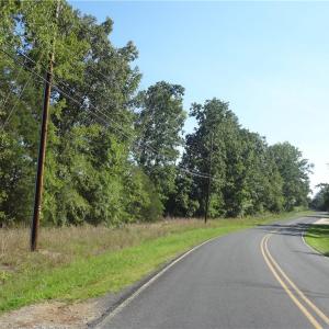 Viewing South along Garner Road.  The property is on the left.