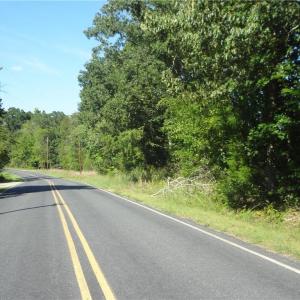 Viewing North along Garner Road.  The property is on the right.
