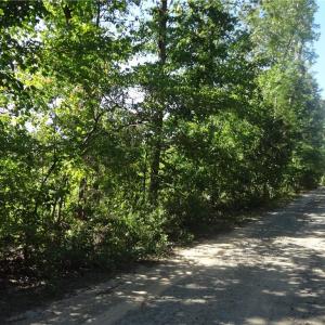 Viewing the rear of the property on the left.  The gravel drive pictured is owned by others and is private.