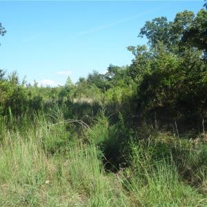 Viewing East at the property from Garner Road.