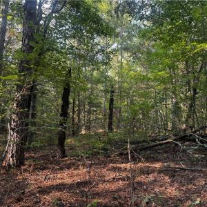 Photo #3 of Sheffield, Seagrove, NC 0.7 acres
