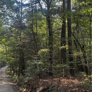 Photo #4 of Sheffield, Seagrove, NC 0.7 acres