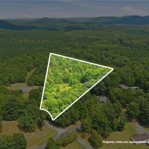 Overhead shot showing the approximate lot lines/dimensions.