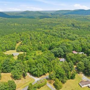 Aerial view of the lot and neighborhood.