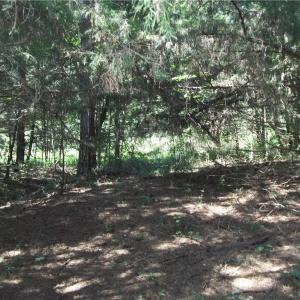 Photo #7 of Clyde King, Seagrove, NC 24.4 acres