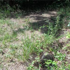 Photo #5 of Clyde King, Seagrove, NC 24.4 acres