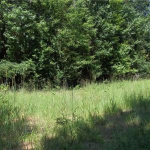 Photo #9 of Clyde King, Seagrove, NC 24.4 acres