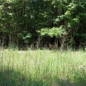 Photo #10 of Clyde King, Seagrove, NC 24.4 acres