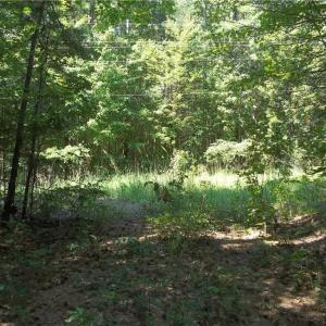 Photo #4 of Clyde King, Seagrove, NC 24.4 acres