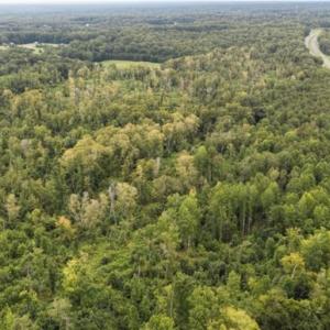 Photo #1 of Scott, Lewisville, NC 104.2 acres