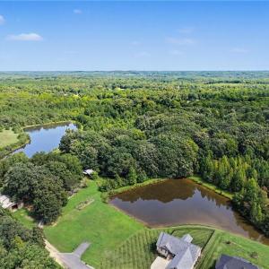 Photo #10 of 2930 Reginas, Randleman, NC 65.3 acres