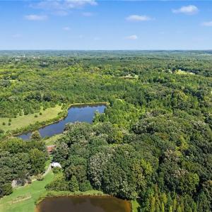 Photo #11 of 2930 Reginas, Randleman, NC 65.3 acres