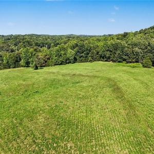 Photo #6 of 3883 Millikan Farm, Franklinville, NC 35.1 acres