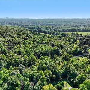 Photo #13 of 3883 Millikan Farm, Franklinville, NC 35.1 acres
