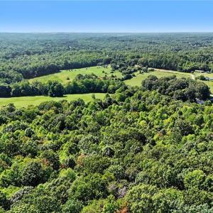 Photo #12 of 3883 Millikan Farm, Franklinville, NC 35.1 acres