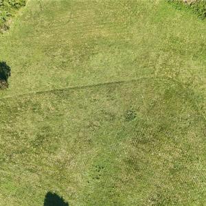 Photo #7 of 3883 Millikan Farm, Franklinville, NC 35.1 acres