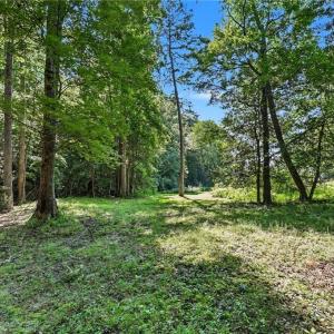 Photo #5 of 3883 Millikan Farm, Franklinville, NC 35.1 acres