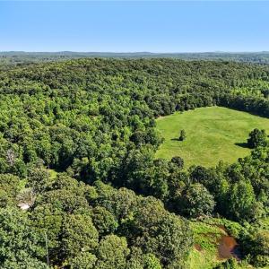 Photo #9 of 3883 Millikan Farm, Franklinville, NC 35.1 acres
