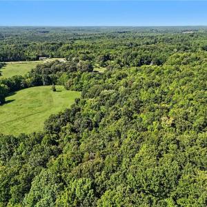 Photo #10 of 3883 Millikan Farm, Franklinville, NC 35.1 acres