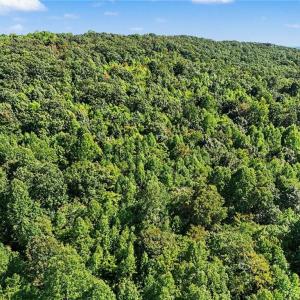 Photo #15 of 3883 Millikan Farm, Franklinville, NC 35.1 acres