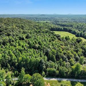 Photo #11 of 3883 Millikan Farm, Franklinville, NC 35.1 acres
