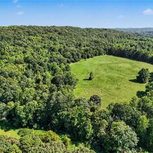 Photo #8 of 3883 Millikan Farm, Franklinville, NC 35.1 acres