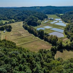 Photo #6 of Claudville, Claudville, VA 56.3 acres