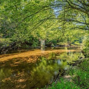 Photo #16 of Claudville, Claudville, VA 56.3 acres