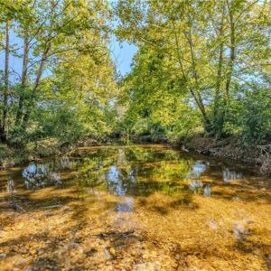 Photo #22 of Claudville, Claudville, VA 56.3 acres
