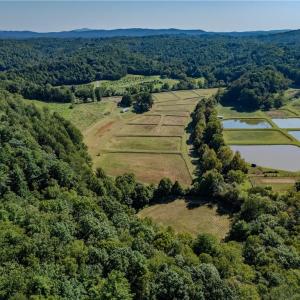 Photo #5 of Claudville, Claudville, VA 56.3 acres
