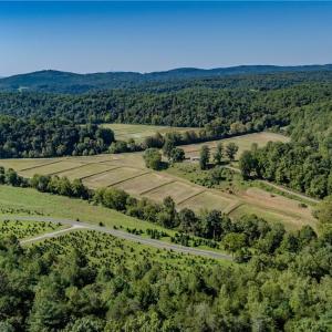 Photo #9 of Claudville, Claudville, VA 56.3 acres