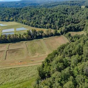 Photo #11 of Claudville, Claudville, VA 56.3 acres