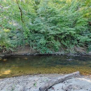 Photo #19 of Claudville, Claudville, VA 56.3 acres