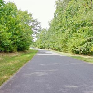 Photo #9 of 238 Bluff, Salisbury, NC 1.1 acres